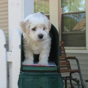 Meet your Posher, Lori